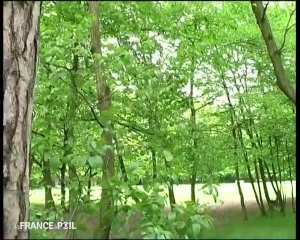 Rue Chaude: Ein schmutziger opa findet eine gute lutscherin!