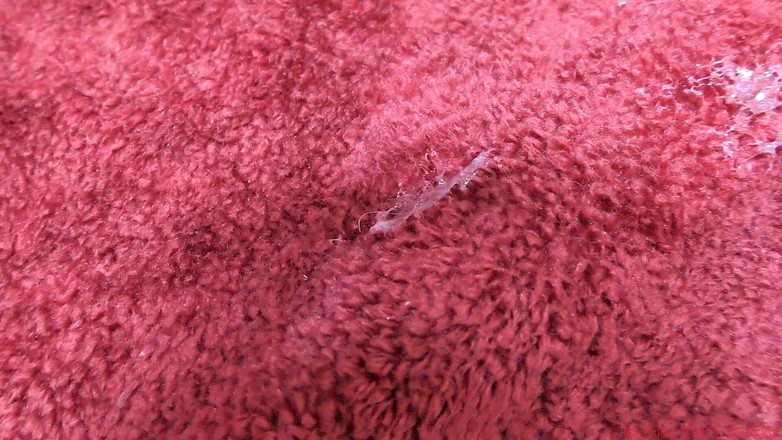 Rex Ringo XXX Productions: Aberrações da festa na praia