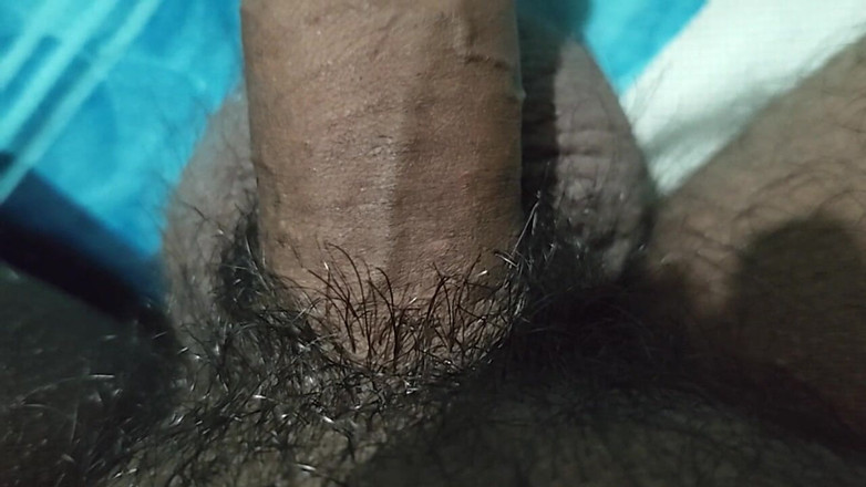 Hot Chilli 2025: Nejlepší sólo zábava! Sledujte oblíbené volnočasové aktivity mého křečka