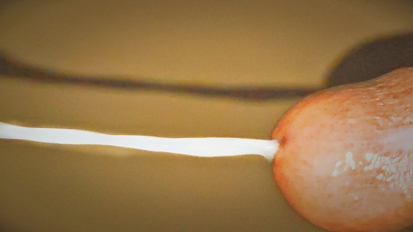 Came Deep Inside a Beautiful Horny Pussy. Oh, It Was a Dream. (Sex art straight)