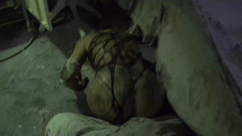 Horror porn: Horrorporno 17: vrouwelijke spider