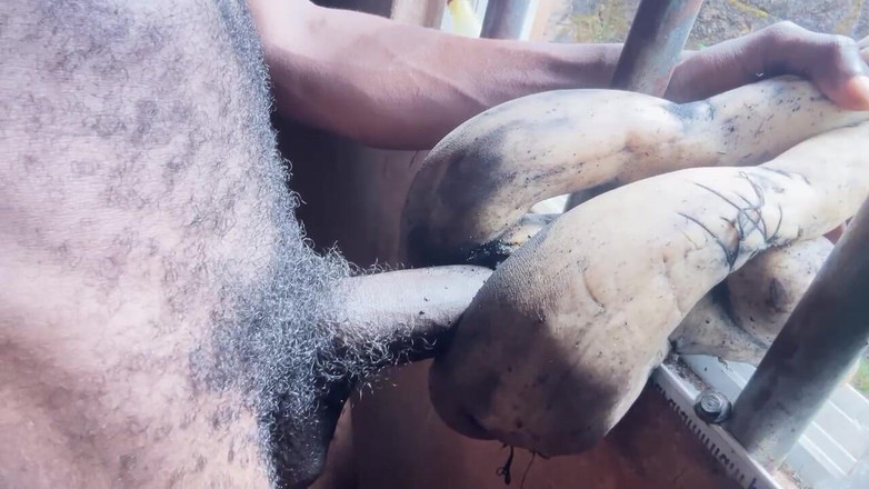 Bangcum8: सेक्स टॉयज की चुदाई