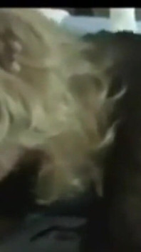Adicción a bbc - 100 videos porno amateurs y caseros. Milfs adictas a la bbc y el bangin interracial