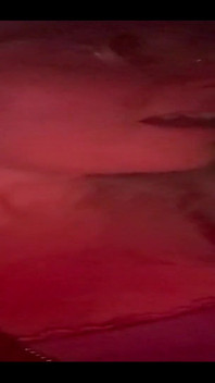 753916610997137408.mp4