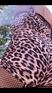 I Was a Cheetah Girl Today. I Had a Good Route in the Burbs and Was Cool with My Cheeta Print
