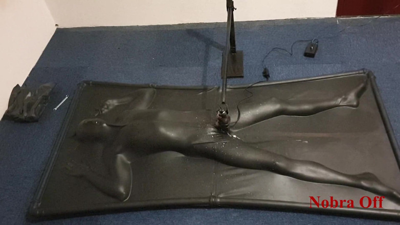 NL Milking: Vacbed e Nobra con timer