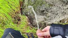 Bayer911: Pie by the Oak