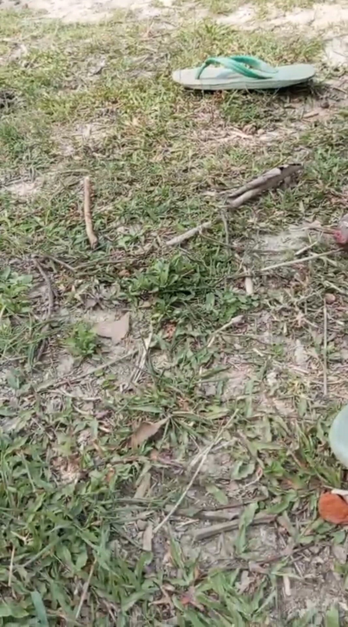 YangZi 69: Jangal Me Chut Ka Maggal