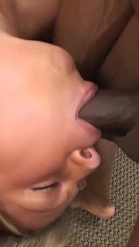 African Cock to Lick