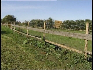 Radical: Nadržené děvky a tvrdé péro šukají venku ve skupinovém sexu