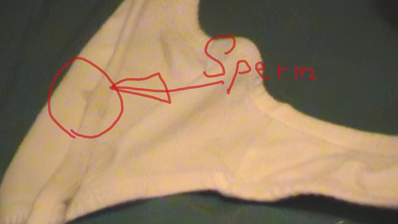 Mark Hannes: Slip Hump Masturbatie
