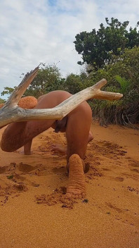 Naakte Ladysilva op het strand pronkt met haar gebruinde hete kont met kontplug