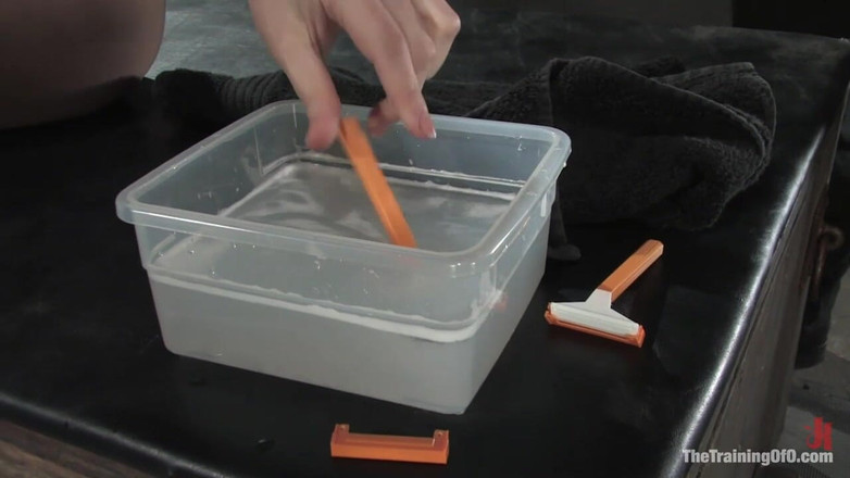 The Training of O by Kink: Trénink Dany Dearmond, den čtvrtý