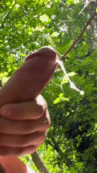 Jovem Se Masturba Arriscado Na Floresta Para Um Enorme Gozo