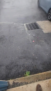 Pisse, pisse, pisse