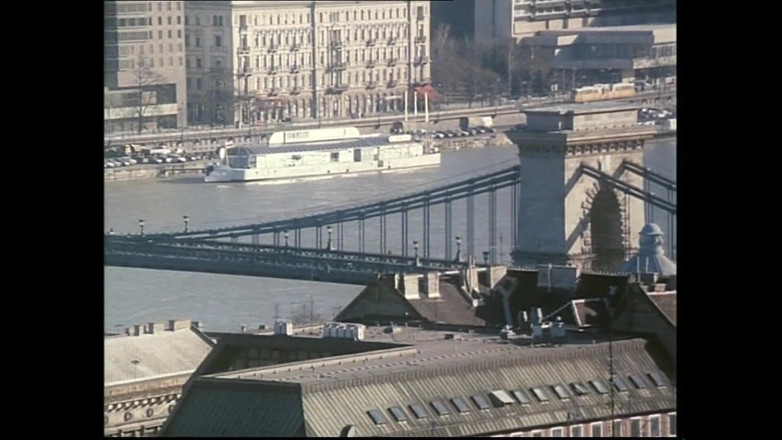 Hard Accademy: Frajer koguta (film)