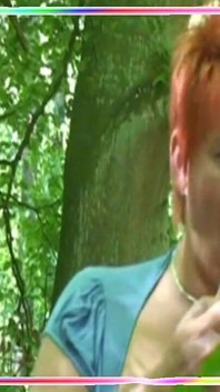 Videos From the Forest