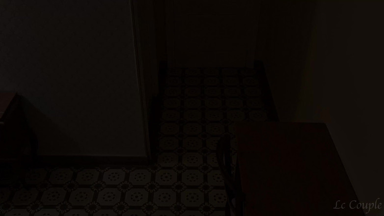 LC couple: La pareja amateur estaba lista para ir a una fiesta...