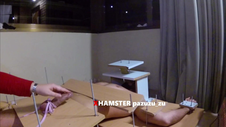 Pazuzu_zu: Amateur CFNM femdom cbt handjob with tied cock. Ruined orgasm