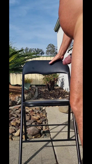yogiyumyum: Back Yard