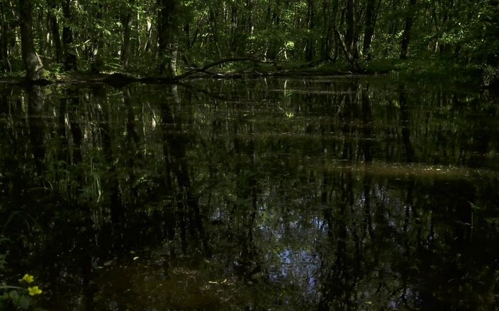 Mesmeriza: Mesmeriza Orman Yürüyüşü