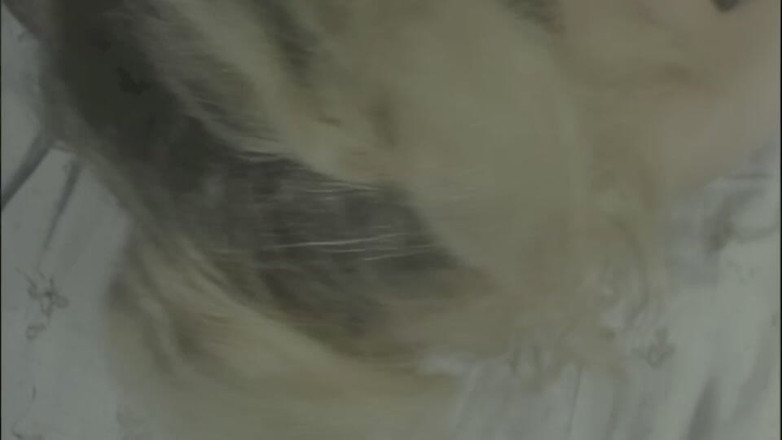 pornitaliangraffiti: Seks Otelinde Kimse Kurtulmuyor