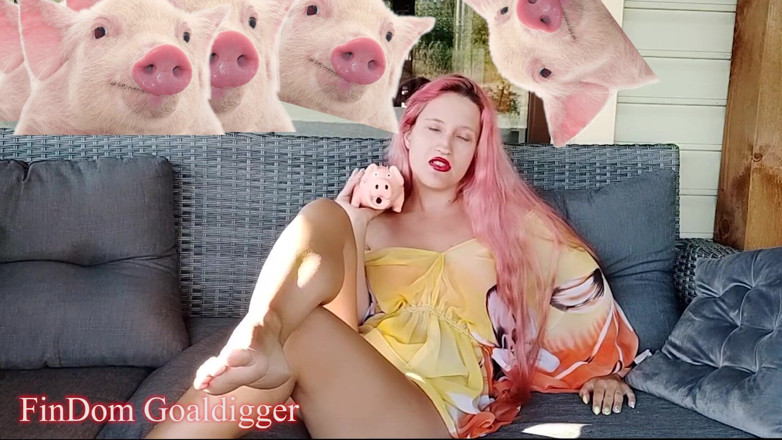 FinDom Goaldigger: Cash slave kontrola formuláře aplikace