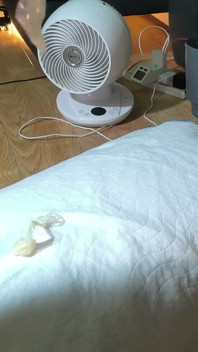나는 발견 2 외부에 완전히로드 된 콘돔을 사용