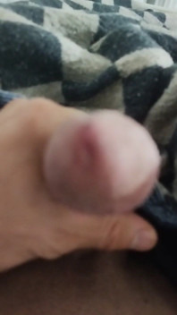 Con cu ngọt ngào