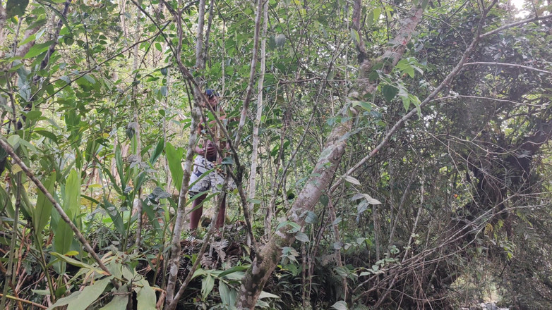 Anotonella-jones: 강에서 모르는 놈과 섹스하는 안토넬라