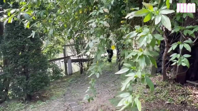 Japanese Hentai Matings: Její měkké křivky se lesknou pod otevřeným nebem když se...