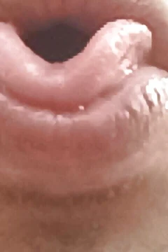 Sofia Leone - compilação de boca de tributo