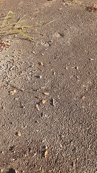 Djk31314: 走在高速公路附近