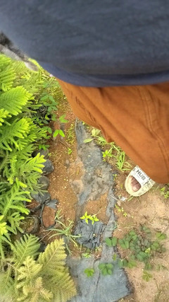 Mg3947731: Make fru full deshi sexiga videor