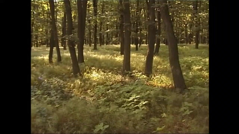 MUSCHI TV - our best full movie: Sexuální válka