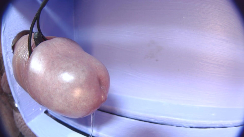Gaylectrician: E-stim, cumshot 21-11-22