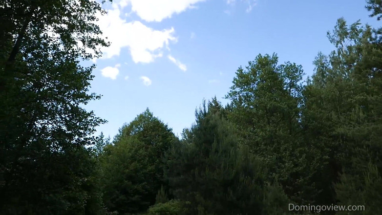 Domingo View: Hutan Asap Mia Luna