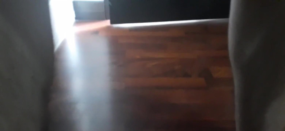 littlelatinhunter: वीर्य बाहर निकालना