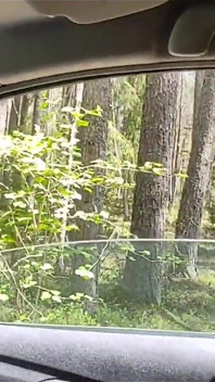 Eine verheiratete schlampe verlor sich im wald, half ihr und sie willigte ein, ihren ehemann zu betrügen