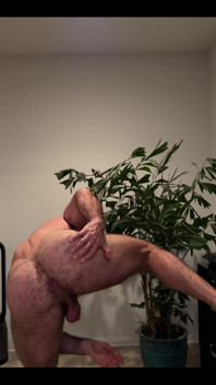 Look at My Ass