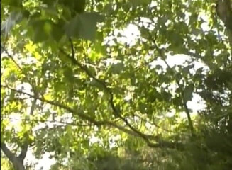 Analiscius: Dark haired milf with big boobs gets ass slammed outdoors