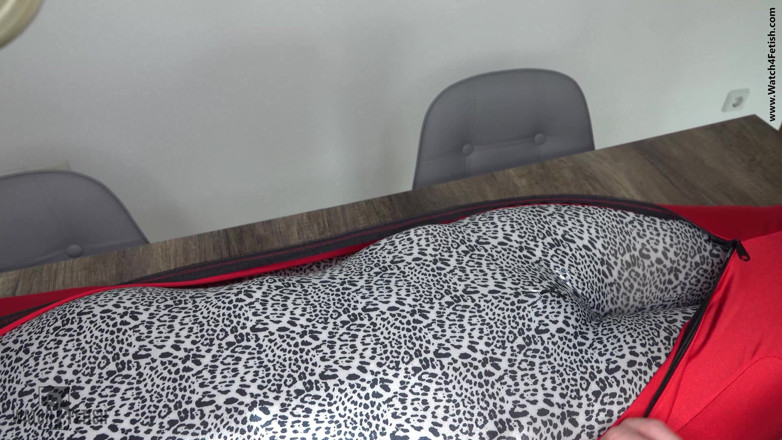 ZentaiDolls: My little fetish doll in zentai