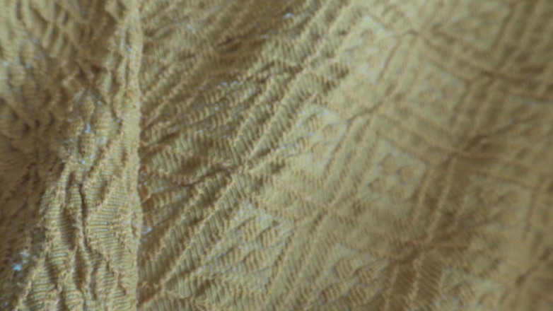 Stepmom Susan: Волосатая пума хочет, чтобы ты открыл для себя ее зрелое тело