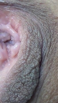 Très Gros Plan De Ma Chatte Parlante