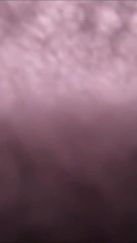 POV Face Sitting Farts