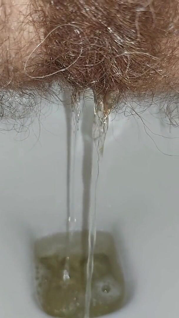 Woman Pissing in the Toilet, Golden Shower, Hairy Pussy Pee (Ginna Gg)