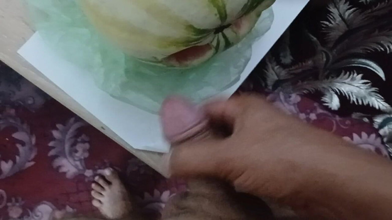 AlexCat: Pomelo Is so Erotic
