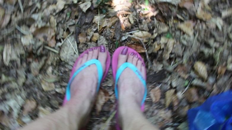 Lilly Disgrace: Kaki banci di hutan