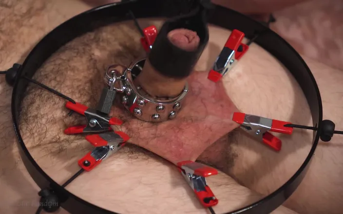 Domestic femdom: Harsh CBT Orgasm