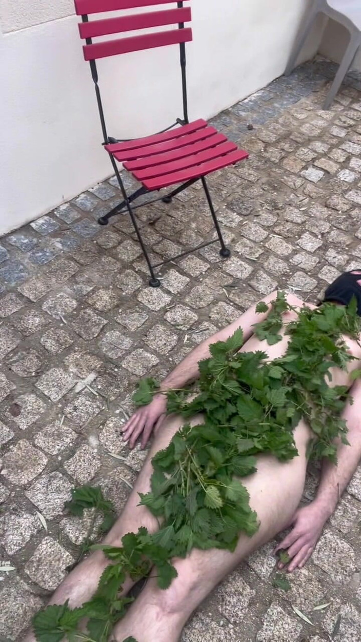 Maitresse Clara: यह बिछुआ को डंक मारता है...